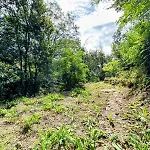 La Bastide Saint-roc Haute Vallee De L'aude בית נופש *