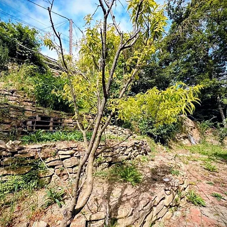 La Bastide Saint-roc Haute Vallee De L'aude Prázdninový dům