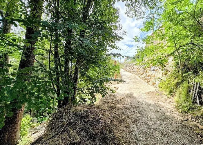 Vakantiehuis La Bastide Saint-roc Haute Vallee De L'aude *